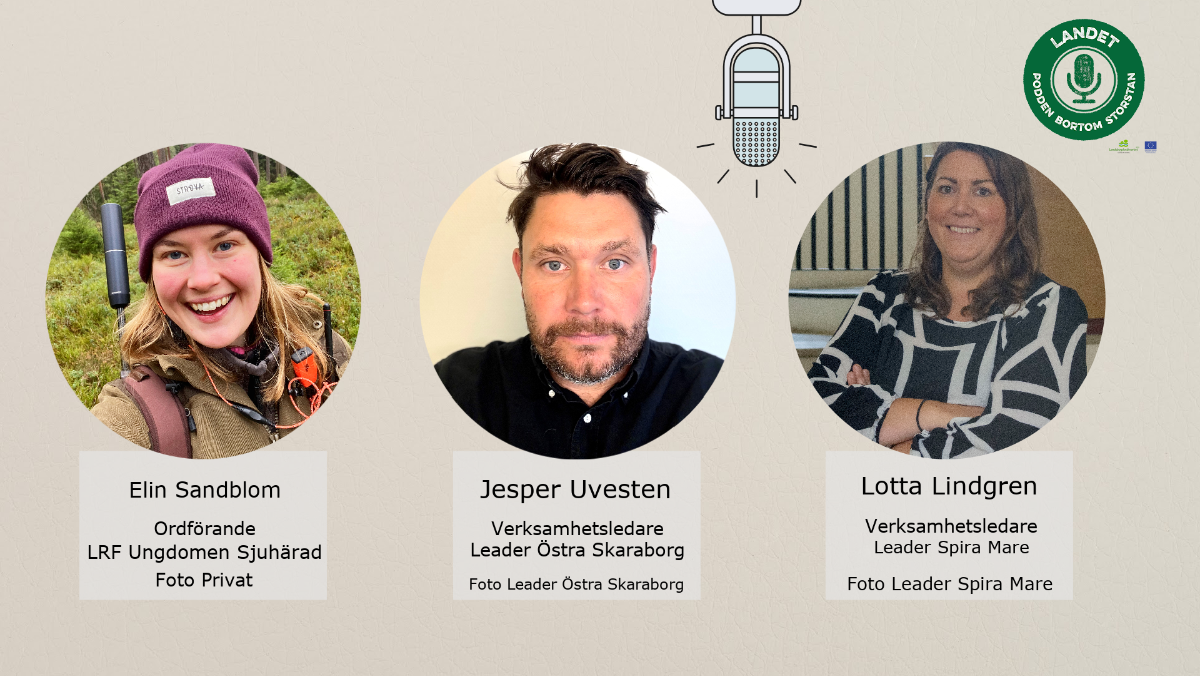Porträttbilder på två kvinnor och en man: Elin Sandblom, Jesper Uvesten och Lotta Lindgren.