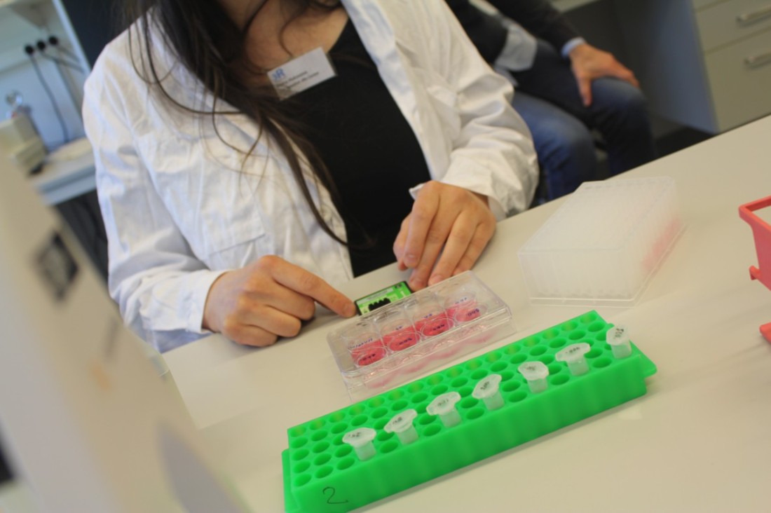 Researcher in laboratory.