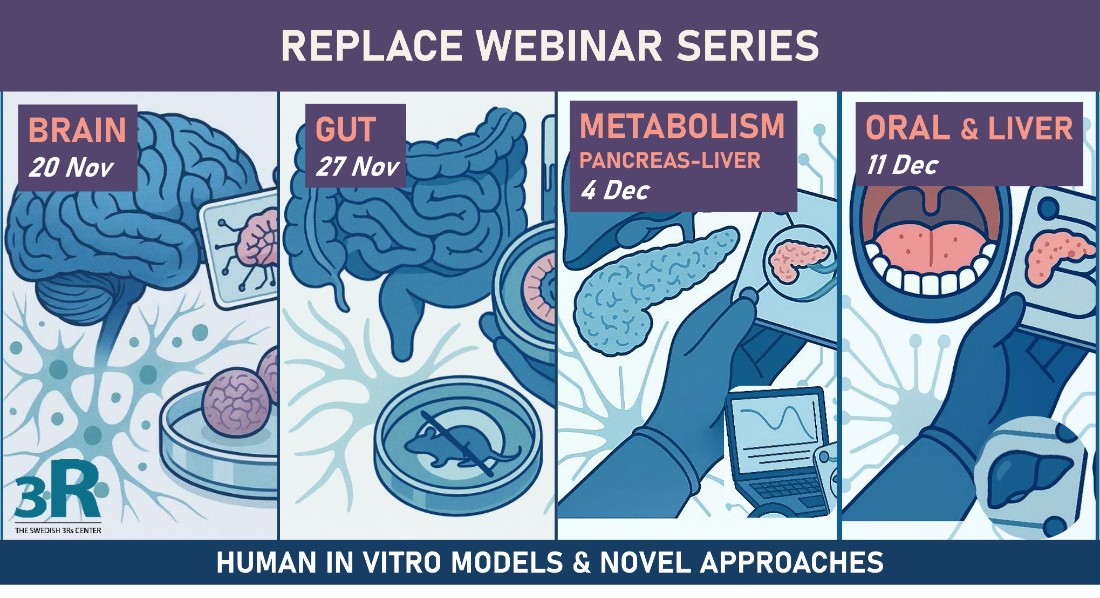 Decorative illustration