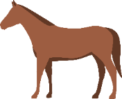 Illustration av häst.