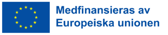 Logotyp: Medfinansieras av Europeiska unionen.