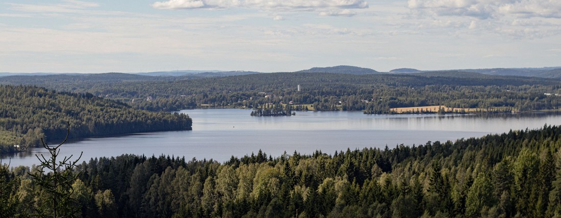 Utsikt över skog och sjö.