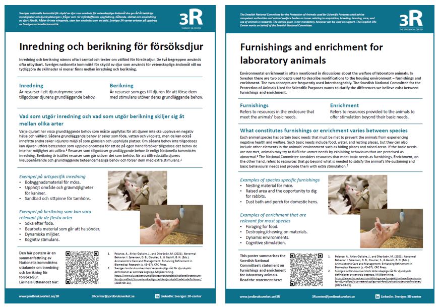 Pictures of posters on furnishings and enrichment