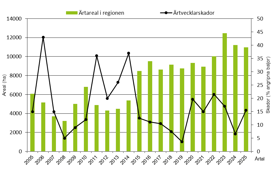 Stapeldiagram som visar ärtareal i regionen i relation till andel ärtbaljor angripna av ärtvecklare