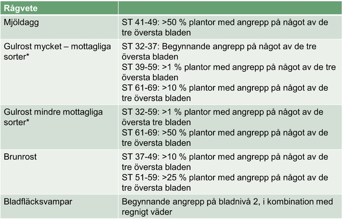 Tabell som visar bekämpningströsklar i rågvete.