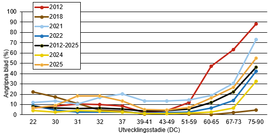 Linjediagram som visar att bladfläcksvampar innevarande år ligger strax över medelkurvan.