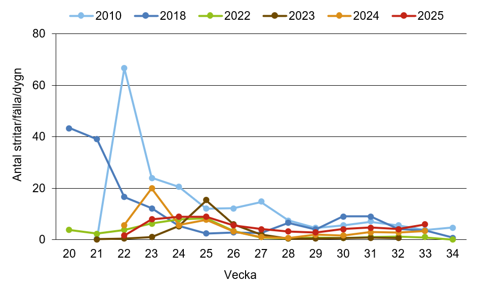 Linjediagram som visar att stritar innevarande år ligger nära medelkurvan.