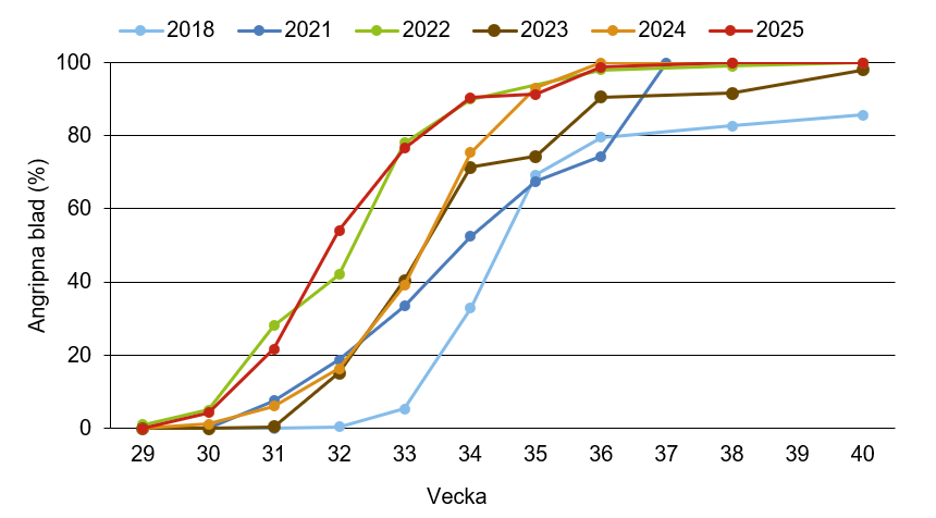 Linjediagram som visar att svampsjukdomar innevarande år ligger över medelkurvan.