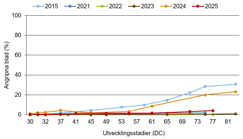 Linjediagram som visar att kornets bladfläcksjuka innevarande år ligger nära medelkurvan.
