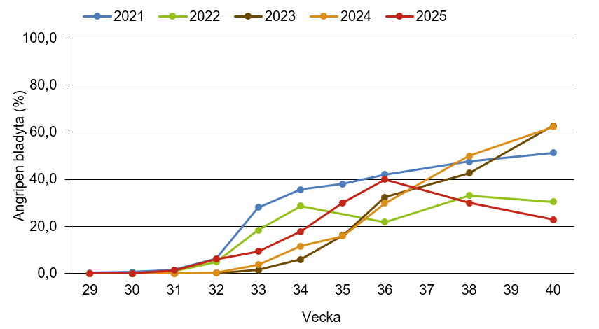 Linjediagram som visar att mjöldagg innevarande år ligger nära medelkurvan.