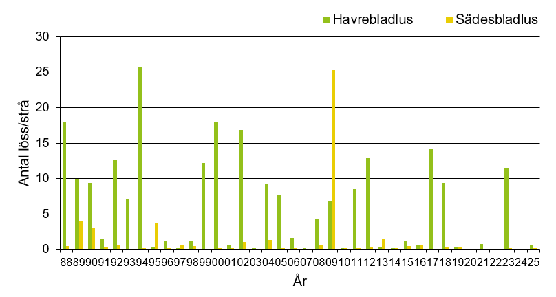Stapeldiagram som visar att årets värde för havrebladlus och sädesbladlus var 0,7 respektive 0,2 vilket var lågt jämfört med andra år.
