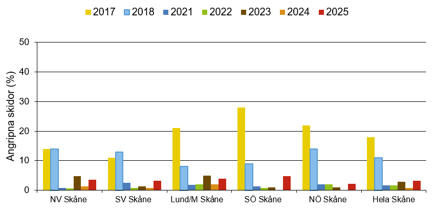 Stapeldiagram som visar att årets värde för skidgallmygga var normalt jämfört med andra år.