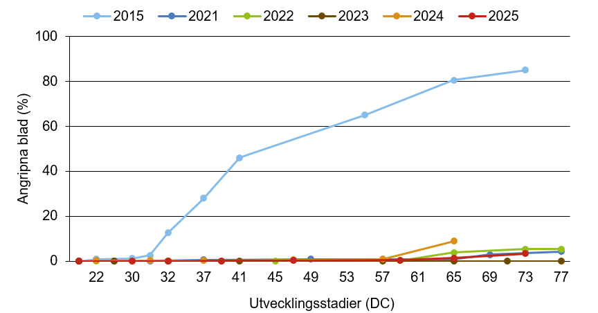 Linjediagram som visar att gulrost innevarande år ligger nära medelkurvan.