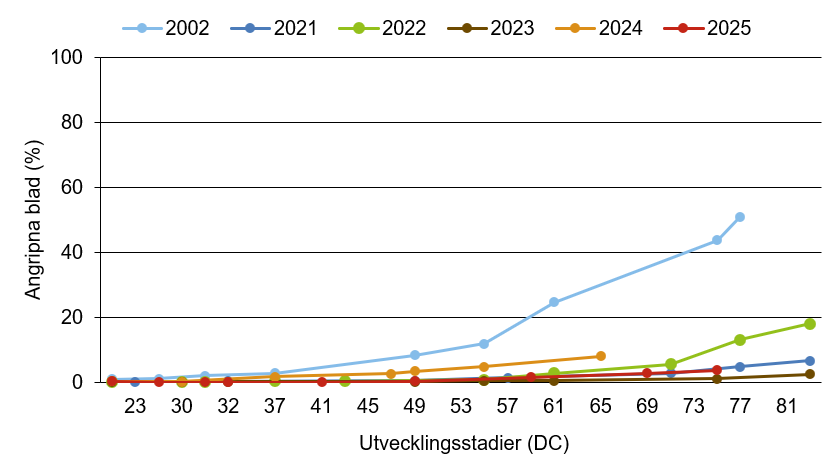 Linjediagram som visar att kornets bladfläcksjuka innevarande år ligger nära medelkurvan.