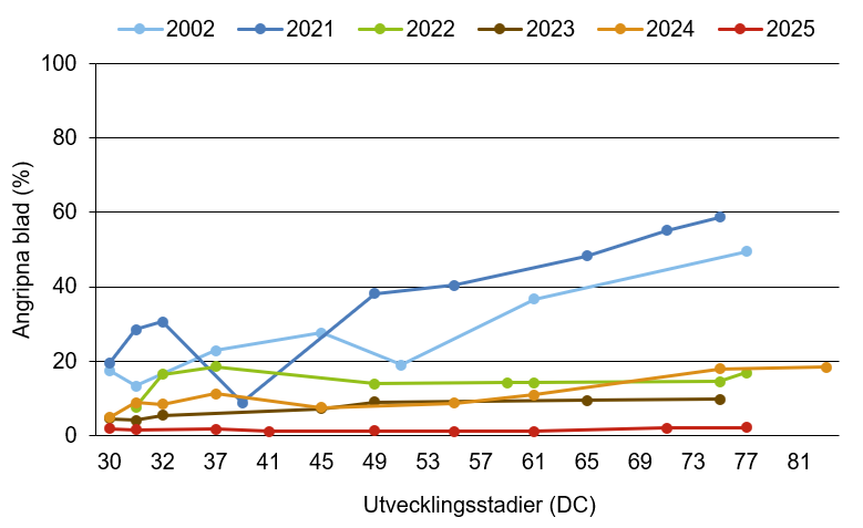 Linjediagram som visar att sköldfläcksjuka innevarande år ligger under medelkurvan.