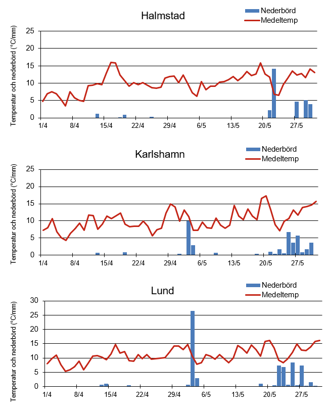 Diagrammet visar dygnsvis medeltemperatur och regnmängd i Halmstad, Karlshamn och Lund.