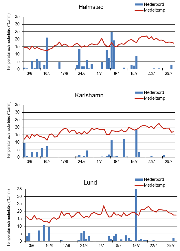 Diagrammet visar dygnsvis medeltemperatur och regnmängd i Halmstad, Karlshamn och Lund.