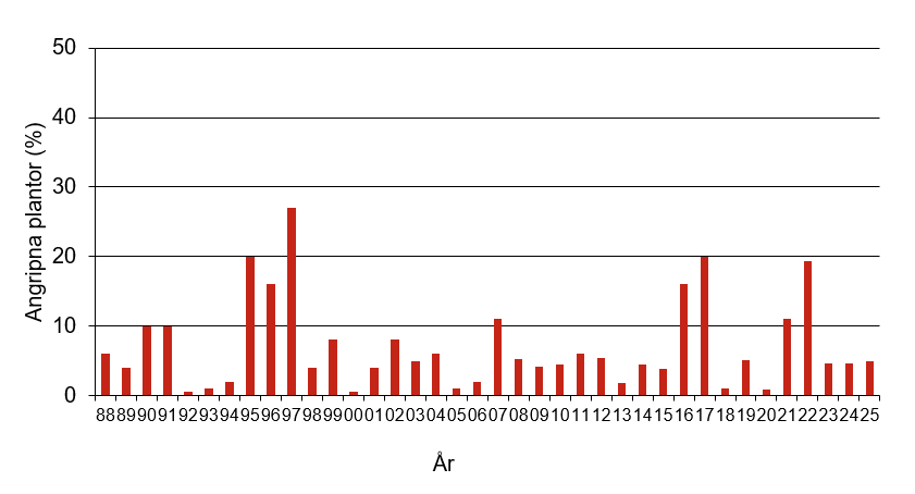 Stapeldiagram som visar att årets värde för bomullsmögel var 5 vilket var normalt jämfört med andra år.