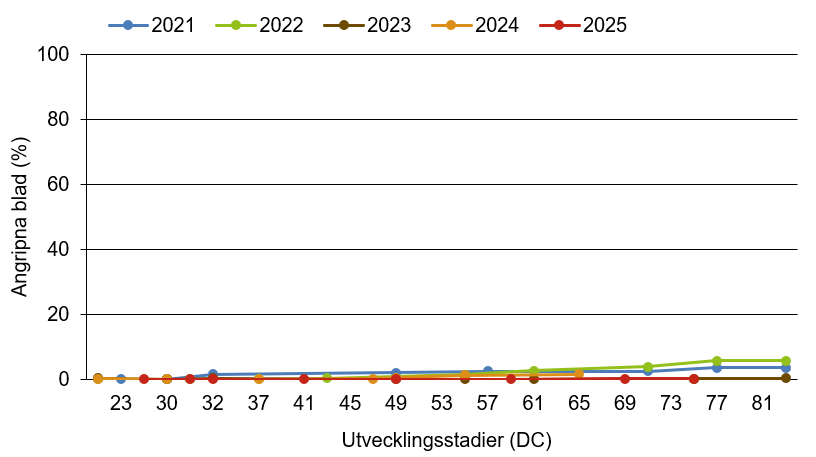 Linjediagram som visar att sköldfläcksjuka innevarande år ligger under medelkurvan.