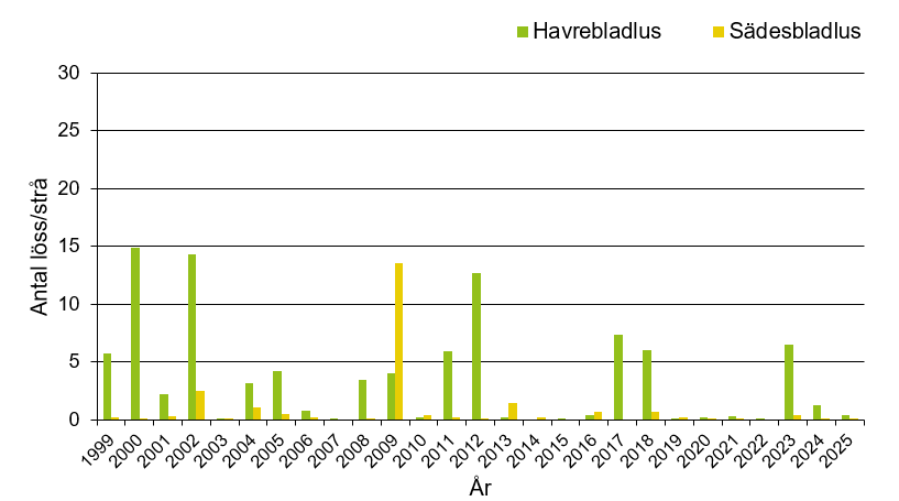Stapeldiagram som visar att årets värde för havrebladlus och sädesbladlus var 0,4 respektive 0,1 vilket var lågt jämfört med andra år.