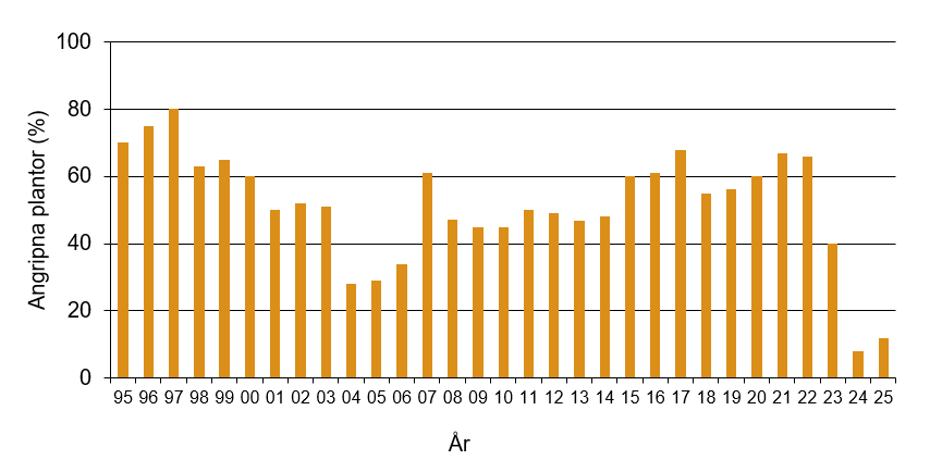 Stapeldiagram som visar att årets värde för kransmögel var 12 vilket var lågt jämfört med andra år.