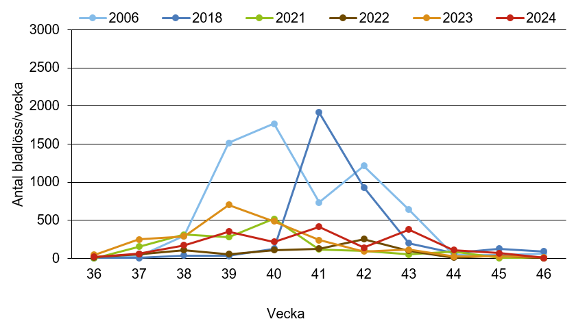 Linjediagram som visar att bladlöss i sugfällan innevarande år ligger nära medelkurvan.