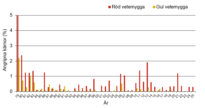 Stapeldiagram som visar att årets värde för röd och gul vetemygga var 0,3 % respektive 0 % vilket var normalt jämfört med andra år.