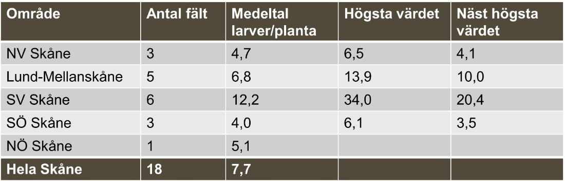 Tabell som visar förekomst av rapsjordloppelarver i medeltal larver/planta, i olika områden i Skåne. Tabellen anger antal fält per område och vilket högst och näst högsta värde av larver/planta som noterats. 
