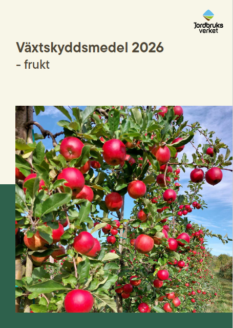 Frukt