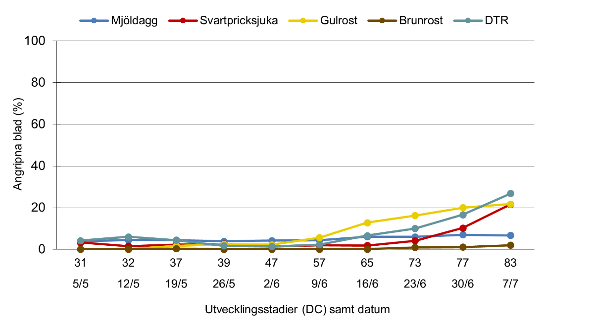 Linjediagram som visar skadegörarutveckling i höstvete 2025. Medeltal för Södermanlands, Östergötlands och Örebro län.