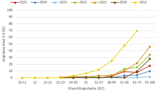 Linjediagram som visar att kornets bladfläcksjuka innevarande år ligger under medelkurvan