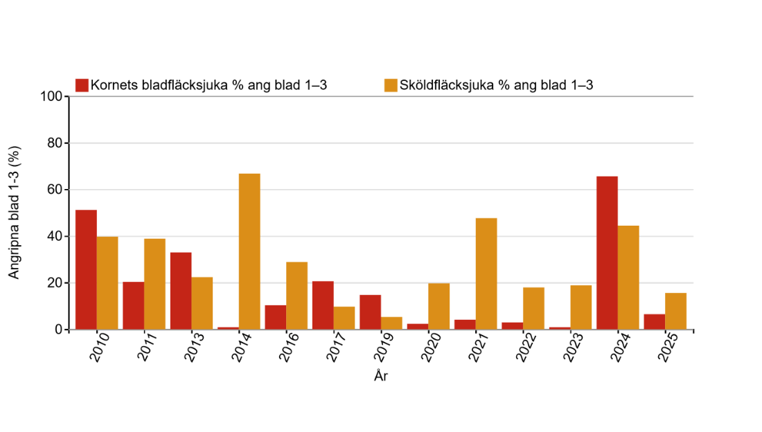 Skadegörare höstkorn