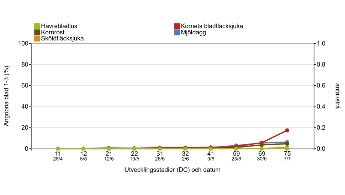 Diagram över sjukdomar i korn