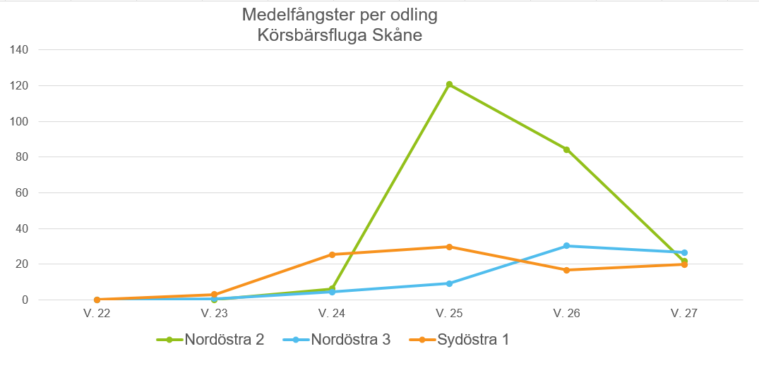 Blodlus