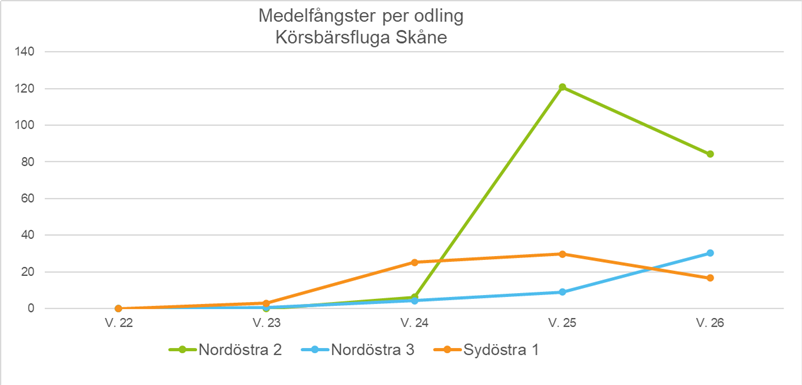 Blodlus