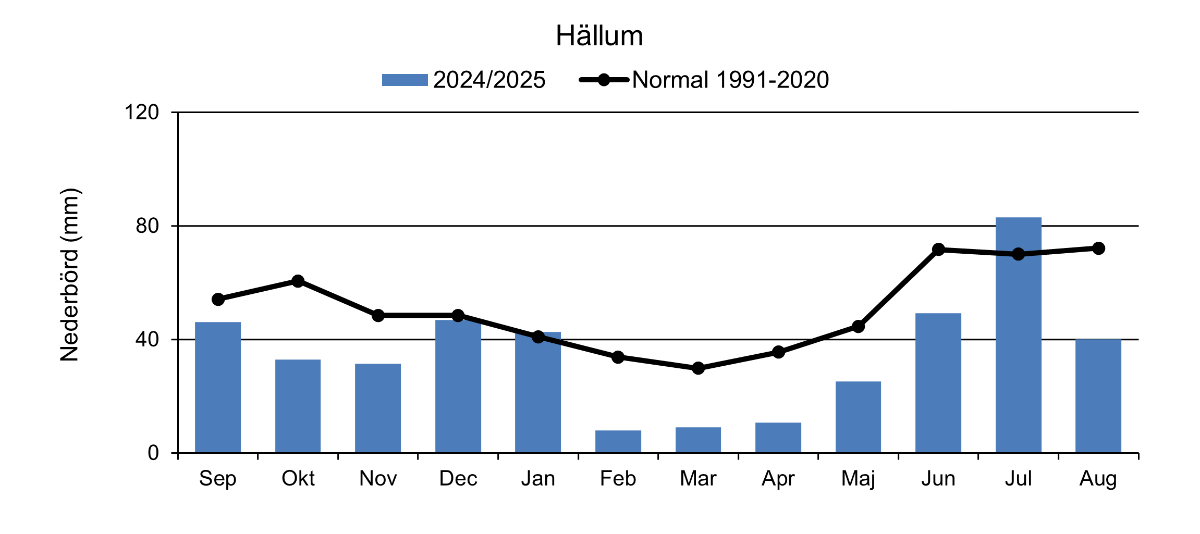 Nederbörd Hällum 2025