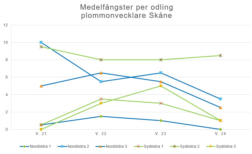 Graf över medelfångster av plommonvecklaren