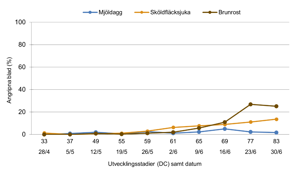 Linjediagram som visar skadegörarutveckling i råg 2025. Medeltal för Södermanlands, Östergötlands och Örebro län.