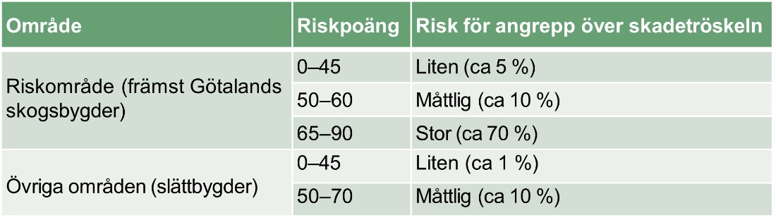 Riskbedömning fritfluga
