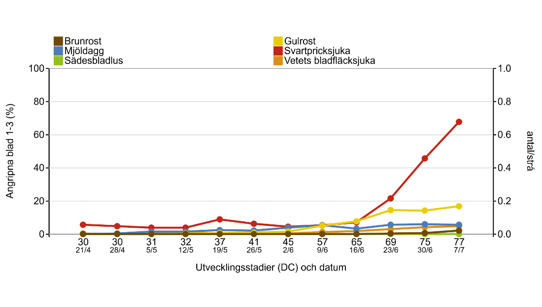 Utveckling av skadegörare i höstvete