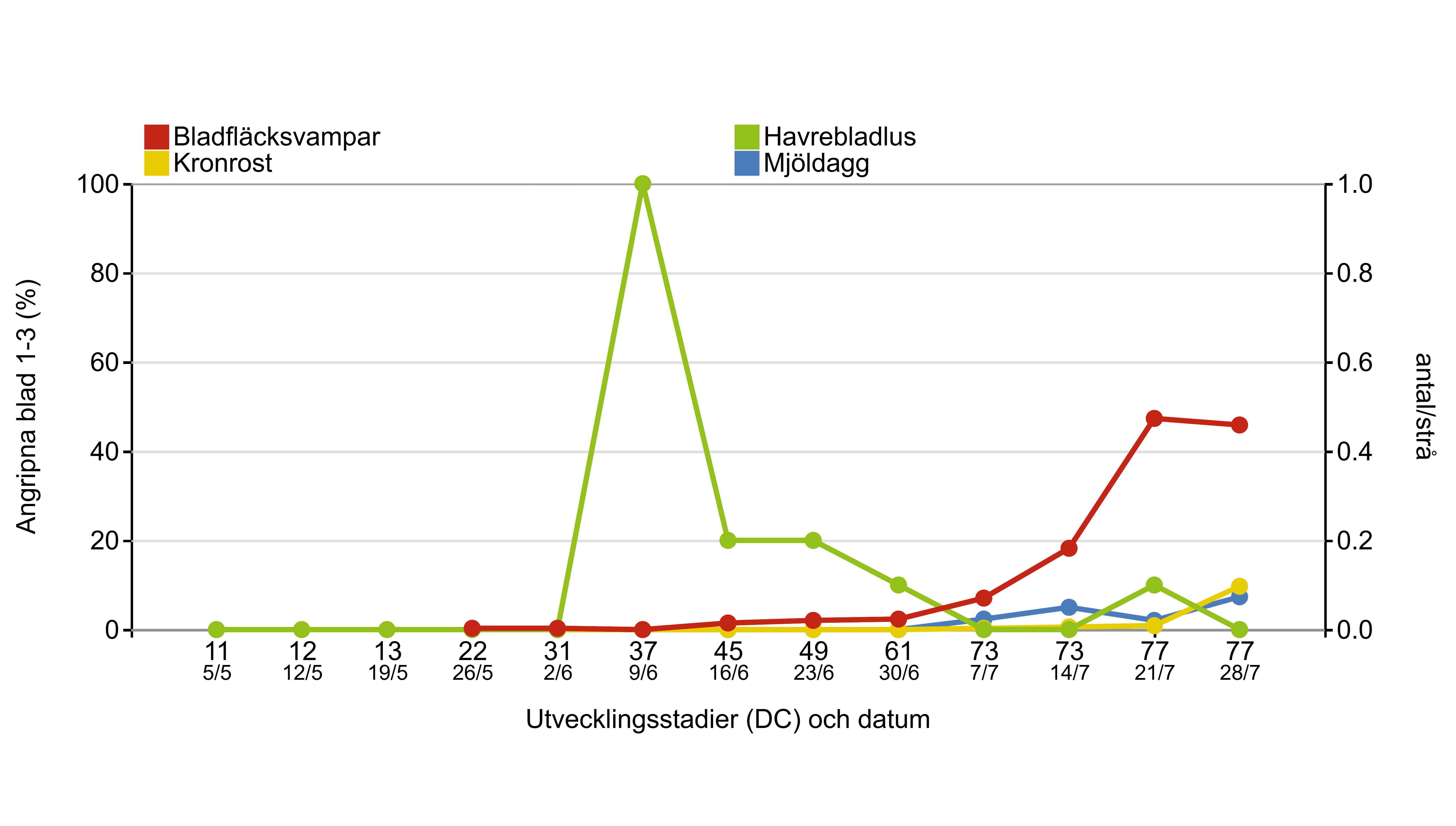 Linjediagram som visar hur bladfläcksvampar, kronrost, mjöldagg och gräsbladlus har utvecklats från 5 maj till 28 juli