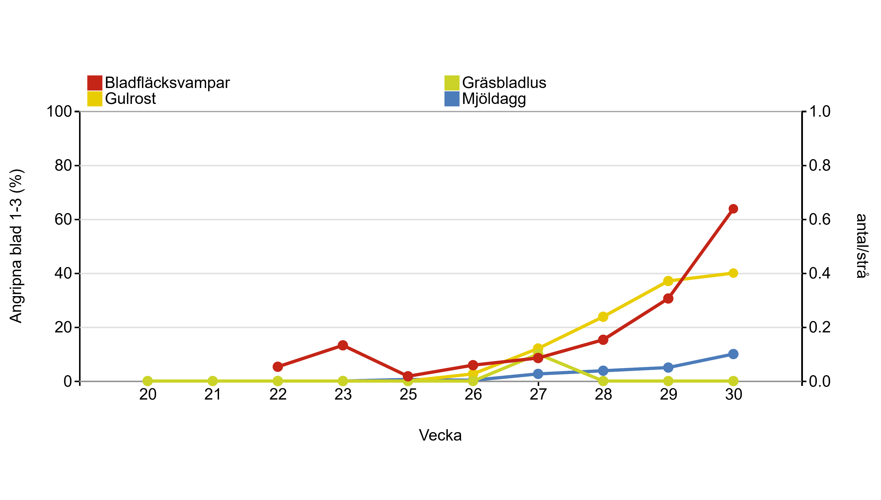 Linjediagram som visar hur bladfläcksvampar, gulrost, mjöldagg och gräsbladlus har utvecklats från 12 maj till 24 juli