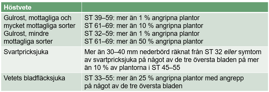 tabell