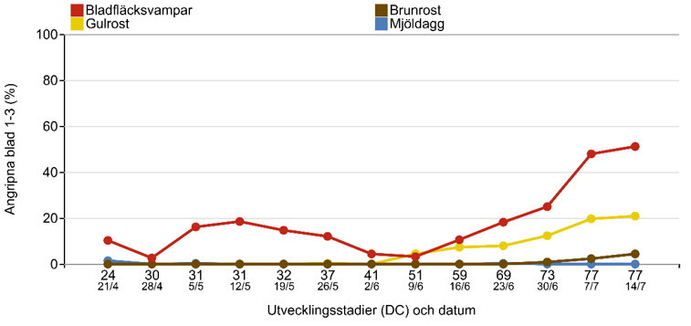 Linjediagram som visar hur Bladfläcksvampar, gulrost, brunrost och mjöldagg har utvecklats från 21 april till 14 juli.