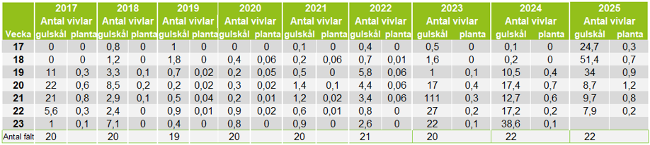 Tabell som visar antal vivlar i gulskål och på planta veckovis för olika år.