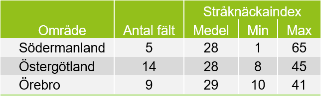Tabell som visar angrepp av stråknäckare i olika områden. Sommargradering 2025.