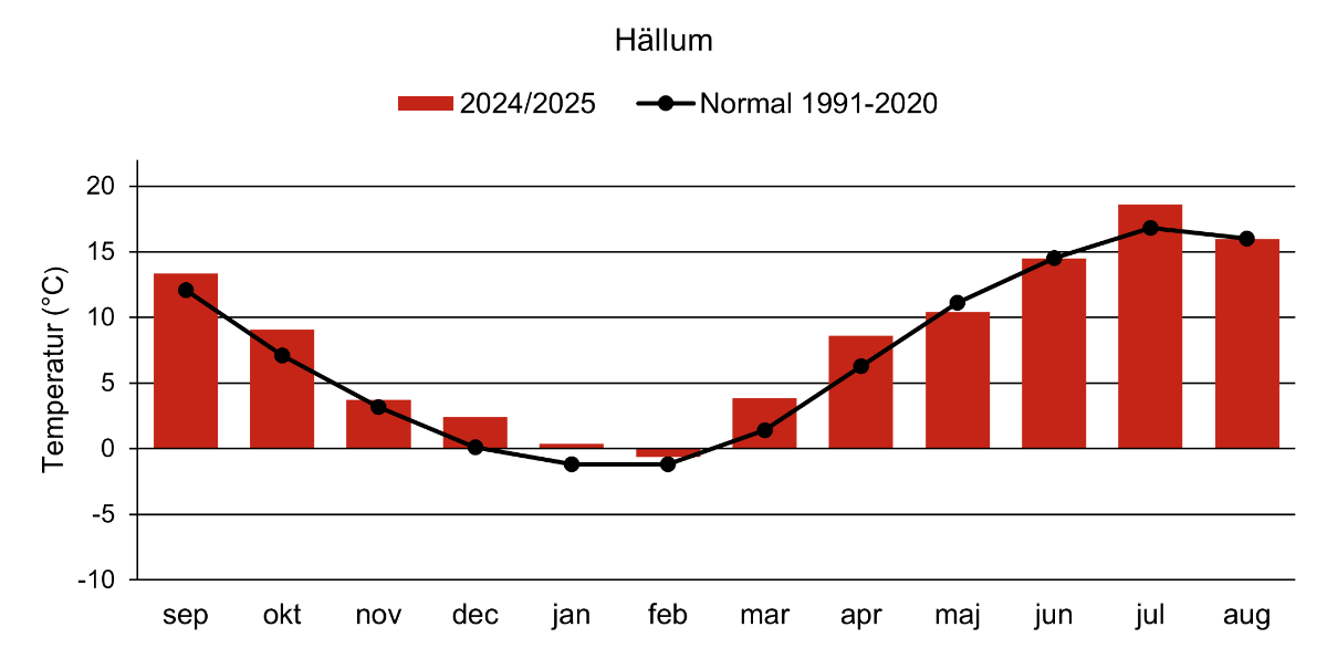 Temperatur Hällum 2025