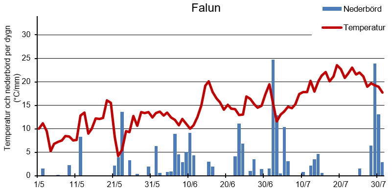 Diagram med sommarens temperatur och nederbörd per dygn i Falun