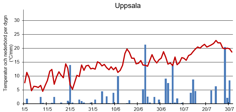 Diagram med sommarens temperatur och nederbörd per dygn i Uppsala
