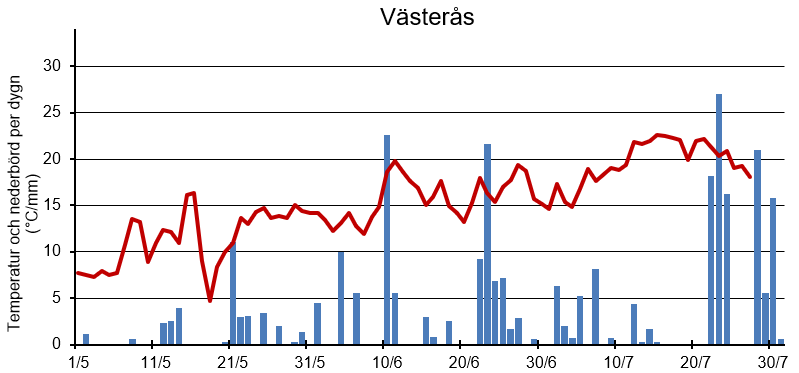 Diagram med sommarens temperatur och nederbörd per dygn i Västerås